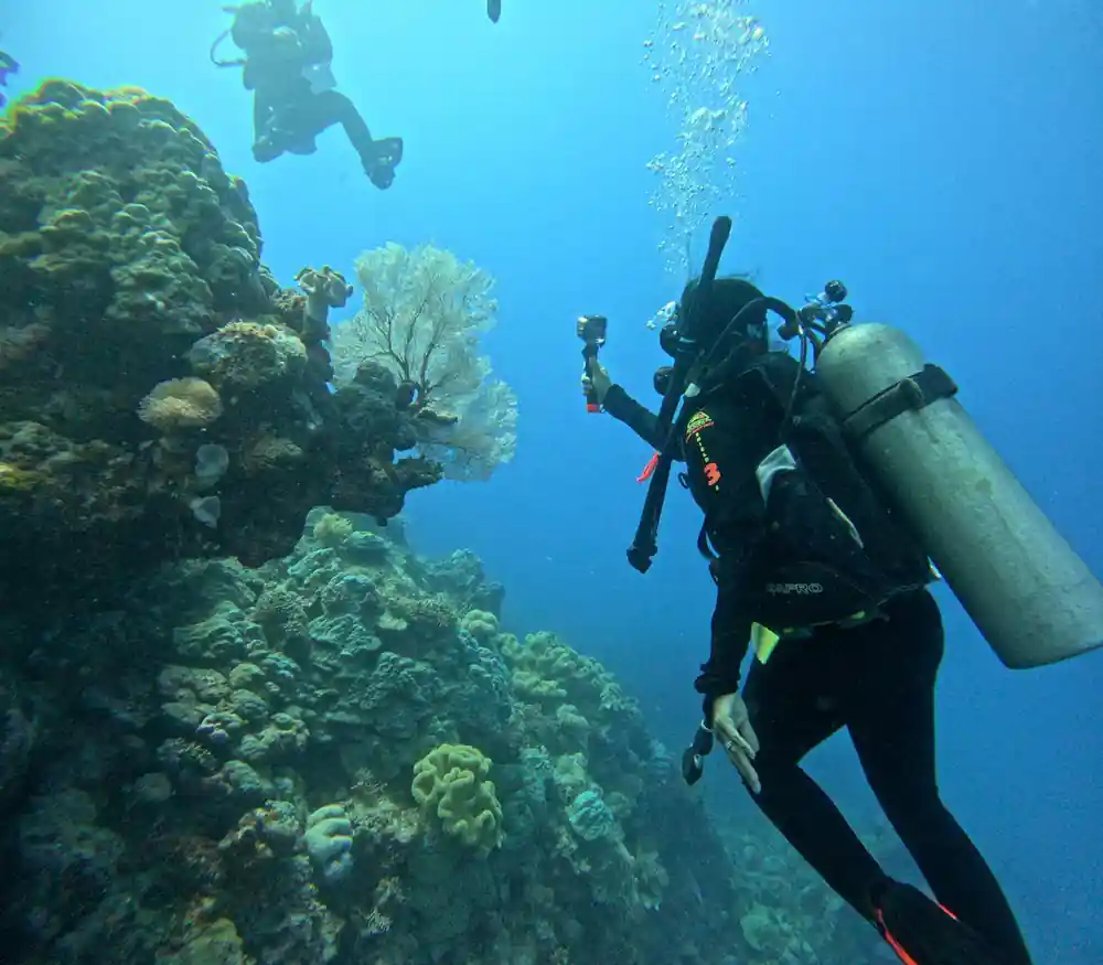 A diver with a camera rig swimming along a coral wall