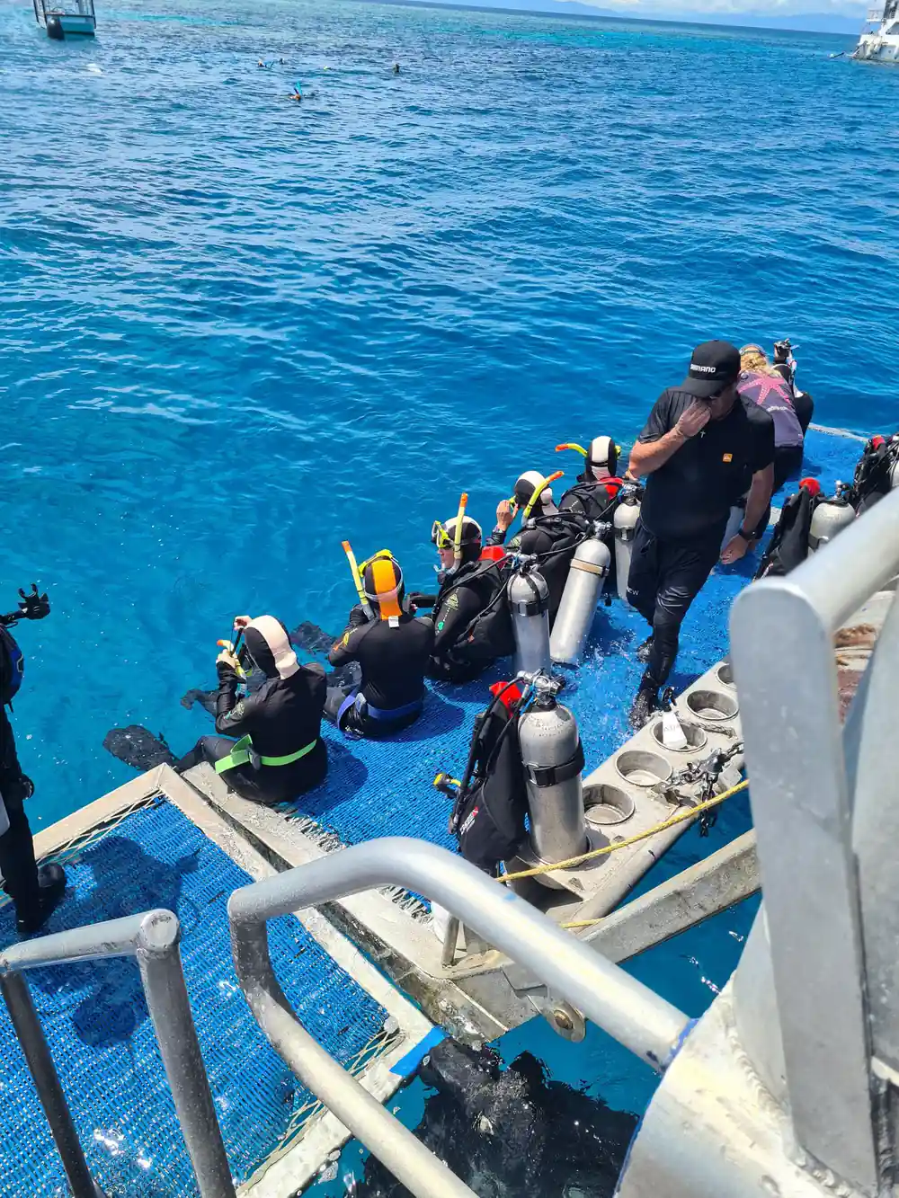 Divers lined up along the platform waiting to enter
