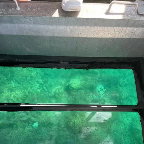 The reef seen through a glass-bottom boat window