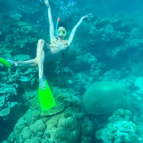 A snorkeller above coral on the Great Barrier Reef