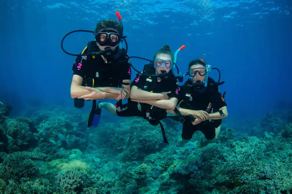 Three divers hovering together above the coral